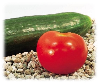 tomatopumice